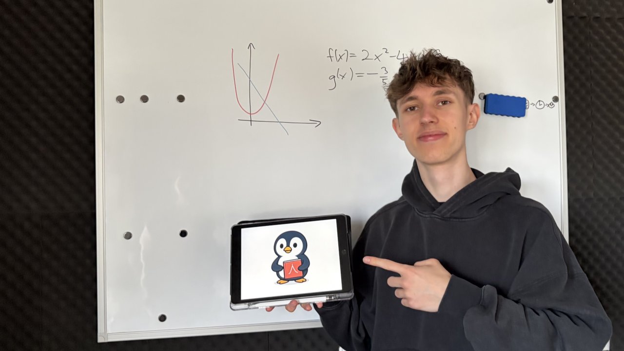 Fino Hübner (18) erklärt auf Social Media als „Parabel Pinguin“ Grundlagen der Mathematik – und hilft damit zahlreichen Schülern. von privat