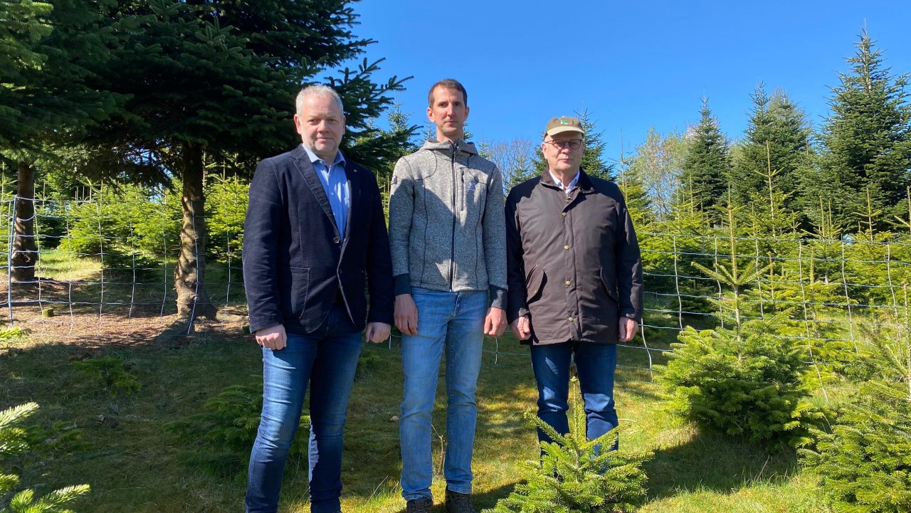 Beim Pressegespräch in Scheiderwald (v.l.): WLV-Wolfsbeauftragter Bernd Eichert, Schafhalter Julian Quast und WLV-Präsident Hubertus Beringmeier. von Lorena Klein