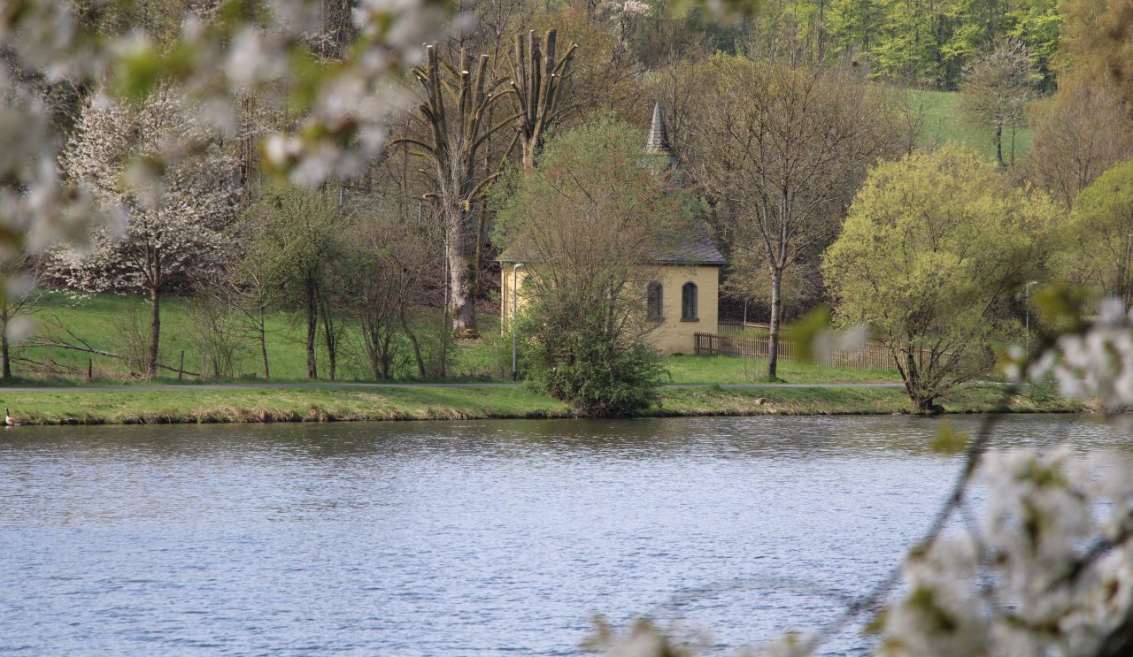 Frühling am Olper Vorstaubecken. von Lorena Klein