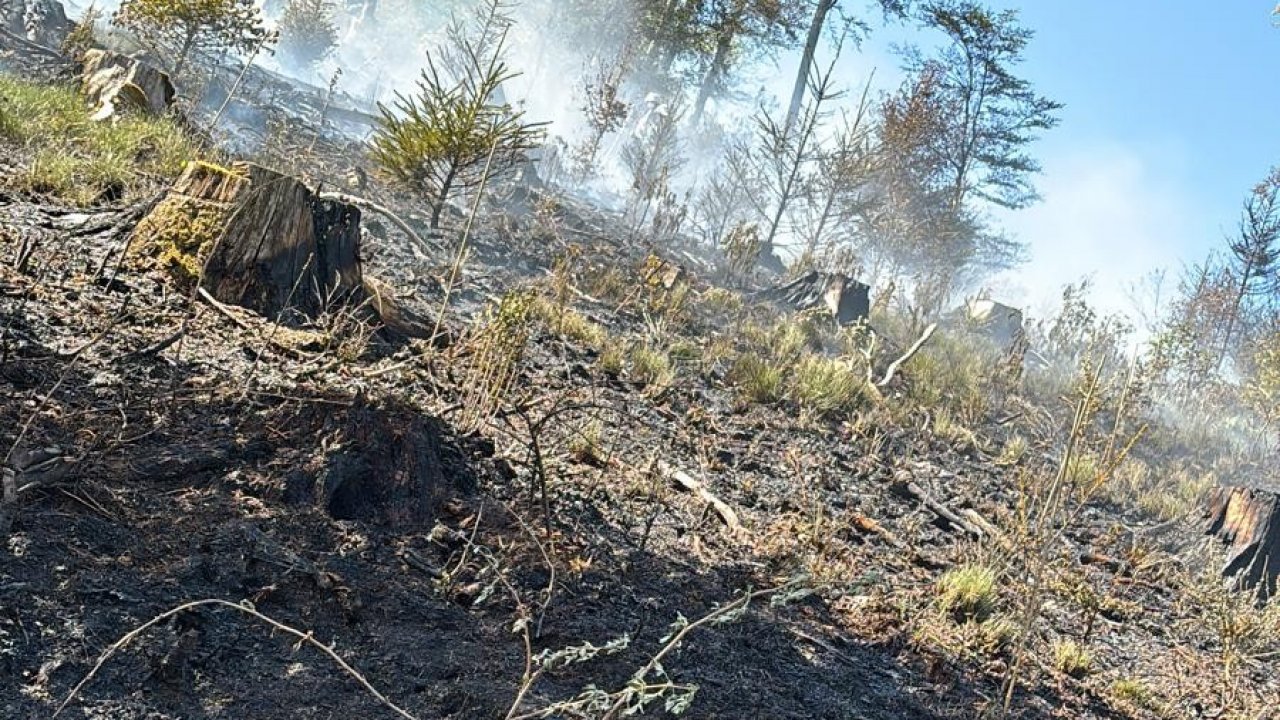 Nachdem der erste Brand bei Schöndelt gelöscht war, gab eine Wandergruppe den Hinweis, dass in nur 200 Metern Entfernung ebenfalls der Wald brenne. von privat