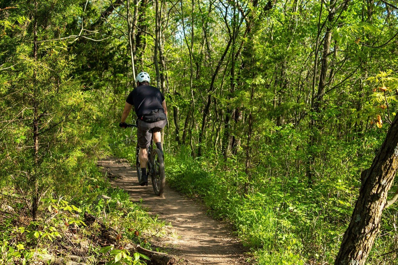 Symbolfoto Mountainbike von privat