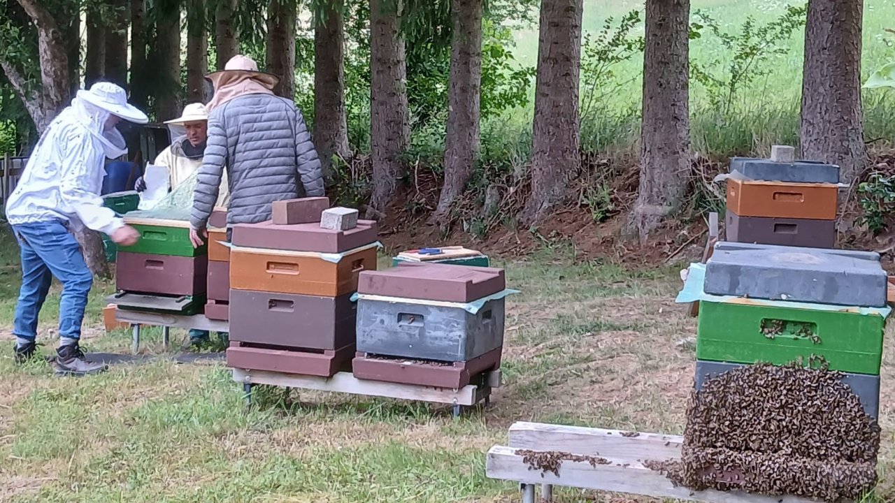 Bei einem Imkereibetrieb im Finnentroper Ortsteil Müllen sind Sporen der Amerikanischen Faulbrut (AFB) nachgewiesen worden. Der betroffene Bienenstand wurde saniert. von privat