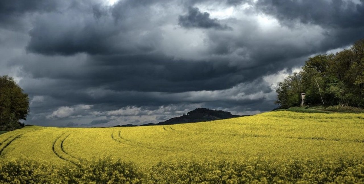 Vereinzelt kann es heftige Gewitter geben. von Rico Schöttes