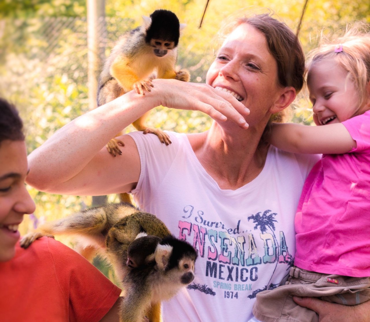 Neugierige Tiere gibt es in den Freianlagen und Freiflughallen im Affen- und Vogelpark zu entdecken. von Affen- und Vogelpark Eckenhagen