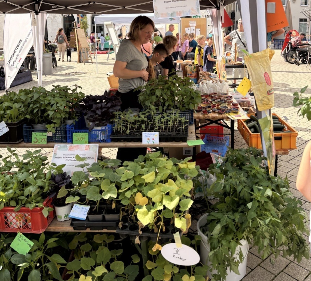 Verschiedene Pflanzen waren im Angebot. von privat