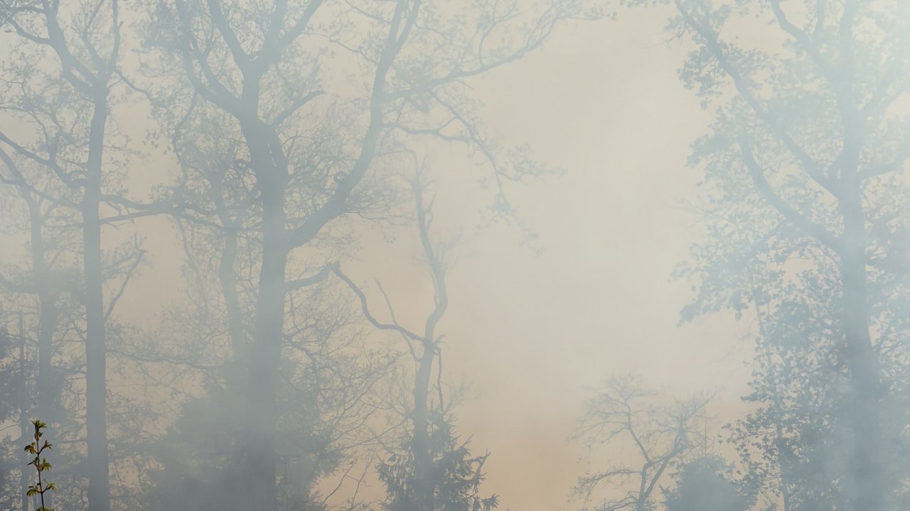 Dichter Rauch auf der Reper Höhe. Hier war die Feuerwehr am 1. Mai gefordert. Die Rauchentwicklung im gesamten Stadtgebiet zu sehen. Einsatzkräfte aus ganz Südwestfalen – und teilweise darüber hinaus waren vor Ort. von Jonas Johannes