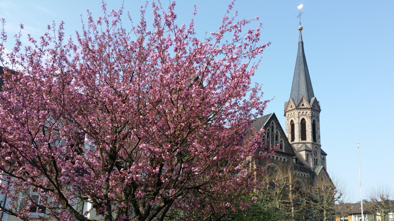 Rund um die Pfarrkirche in Meggen findet am Sonntag, 23. August, das Patronatsfest statt, zu dem Pfarrgemeinderat und Kirchenchor herzlich einladen. von privat