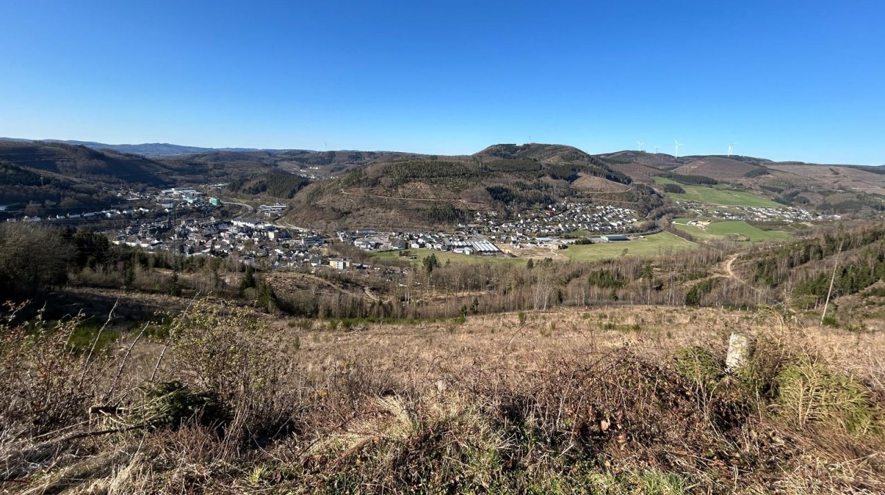 Die Wälder haben seit Wochen keinen Regen mehr gesehen. von Nils Dinkel
