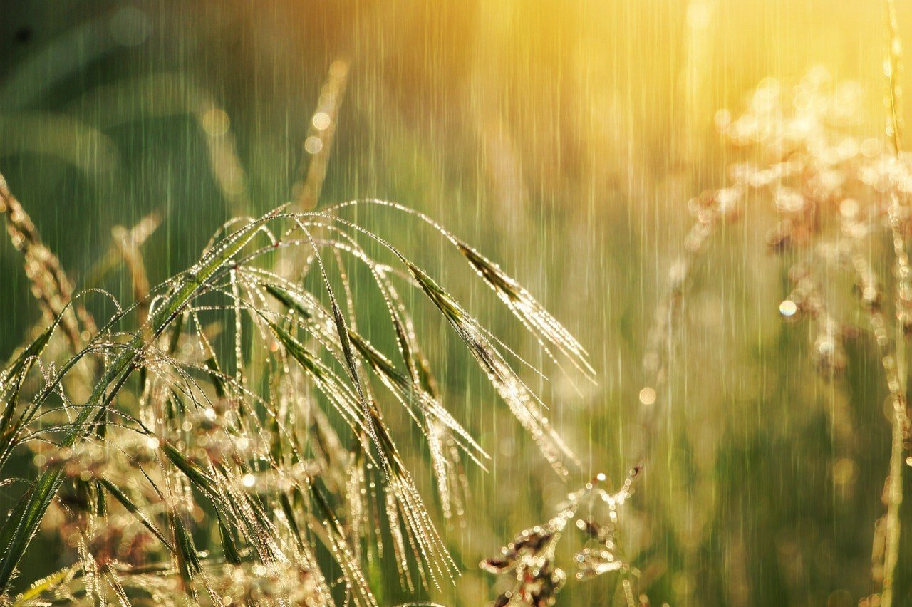 Für Sonntag hat sich Regen angekündigt - dringend notwendig für die Natur. von Pixabay.com