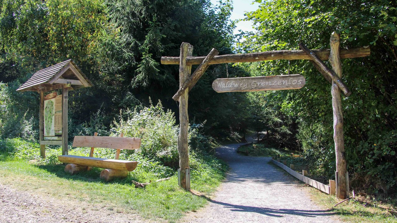 Ein Spaziergang auf dem Waldweg Grenzenlos in Olpe bietet eine Auszeit in der Natur – und ist dazu auch lehrreich und interaktiv. von Lorena Klein