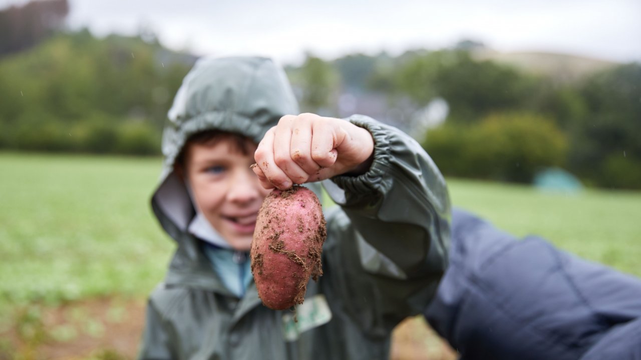 Neben dem unvergesslichen Erlebnis für die Kinder bei einem Besuch auf dem Bauernhof profitieren die Höfe von einem deutlichen Imagegewinn. von Hof Belke