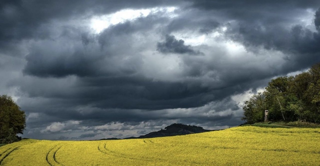 Kräftige Schauer und Gewitter drohen in der Nacht zu Freitag. von Rico Schöttes