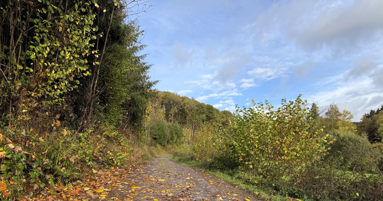 Zwischen Spätsommer und Herbst. von Claudia Wichtmann