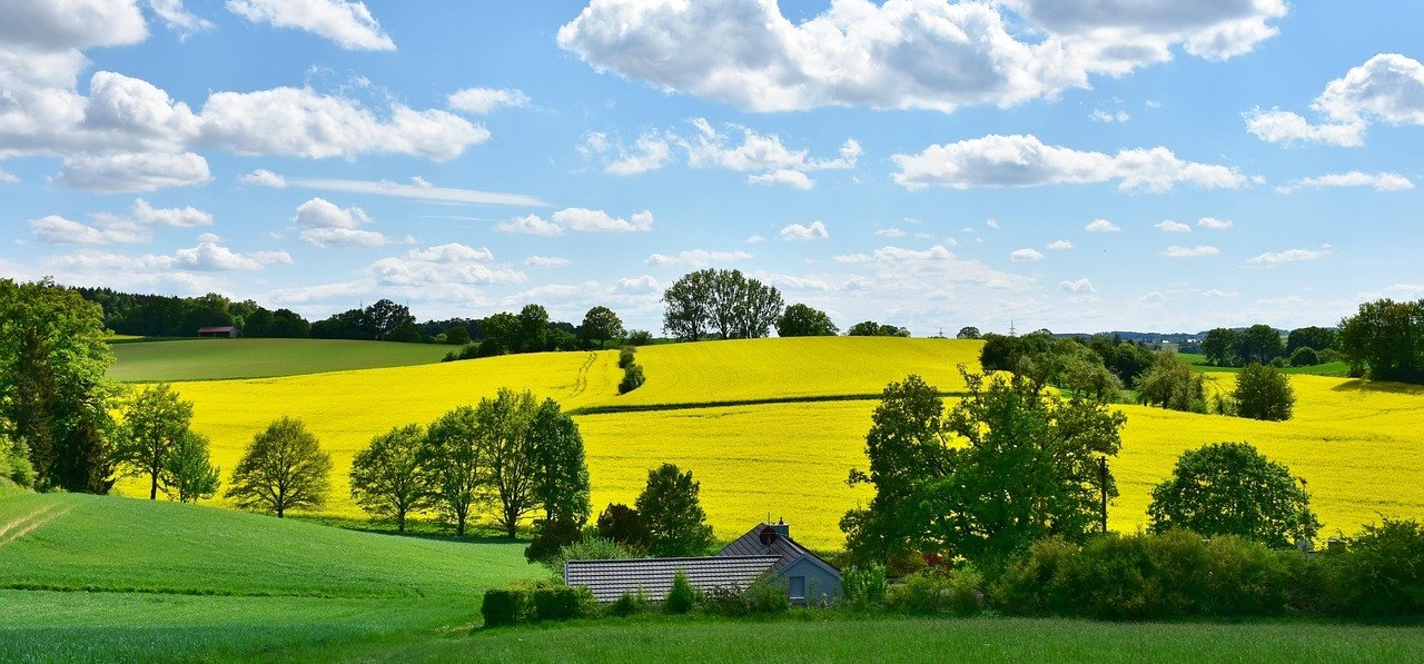 Freundlich präsentiert sich das Wetter vor allem am Sonntag. von Pixabay.com