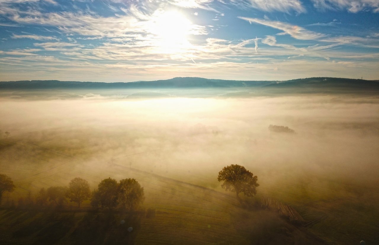Herbstlicher Nebel von privat