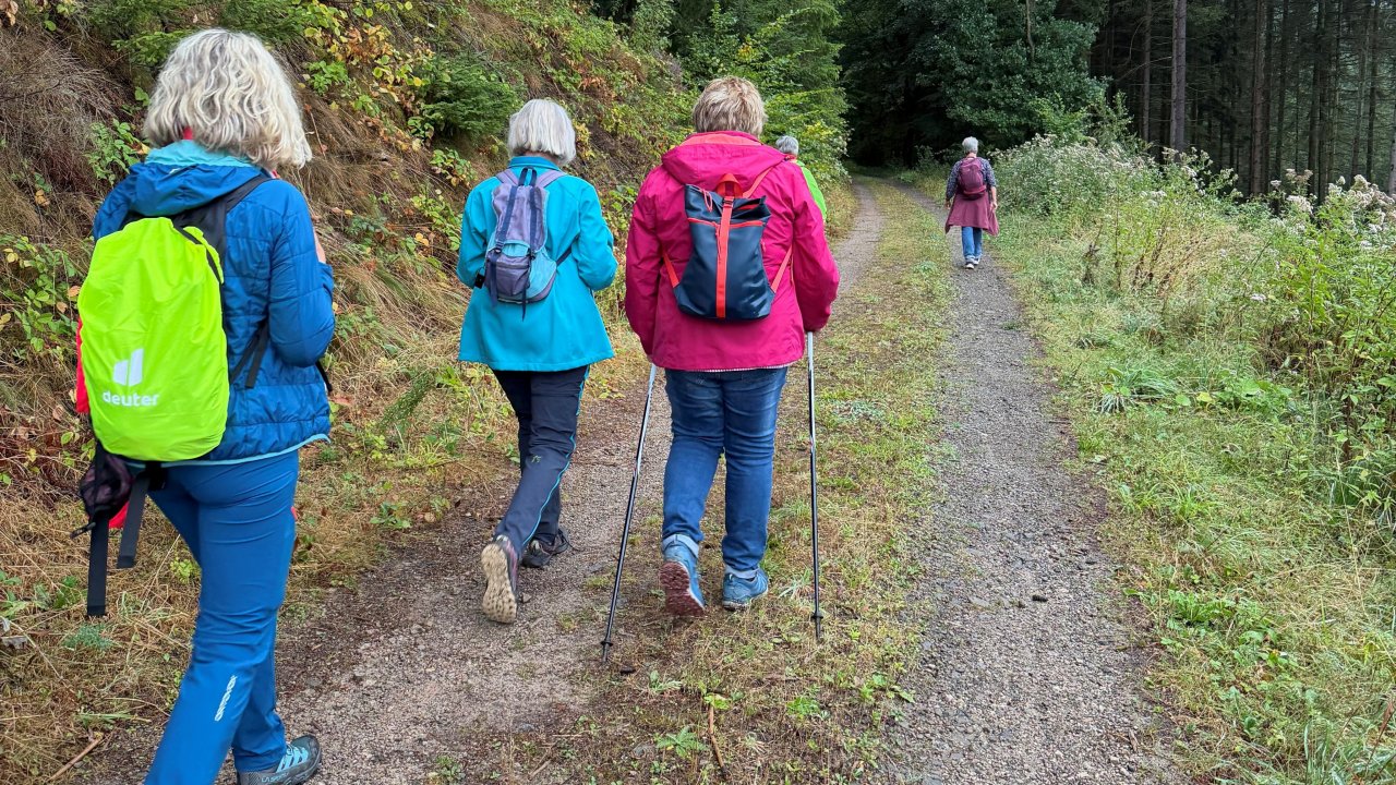 Zur gemeinsamen Trauerwanderung laden der ambilante Caritas-Hospizdienst Camino und der St. Elisabeth-Hospizdienst ein. von privat