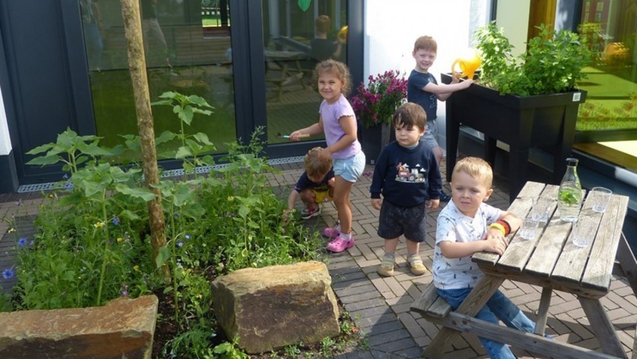 Im Frühjahr pflanzten die Kinder der Kita Sonnenschein Maumke die Samen ein und konnten im Laufe der Monate beobachten, was in ihrem Lehrgarten alles wächst. von Caritasverband Südwestfalen