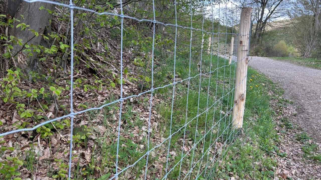 Symbolfoto. von Nils Dinkel