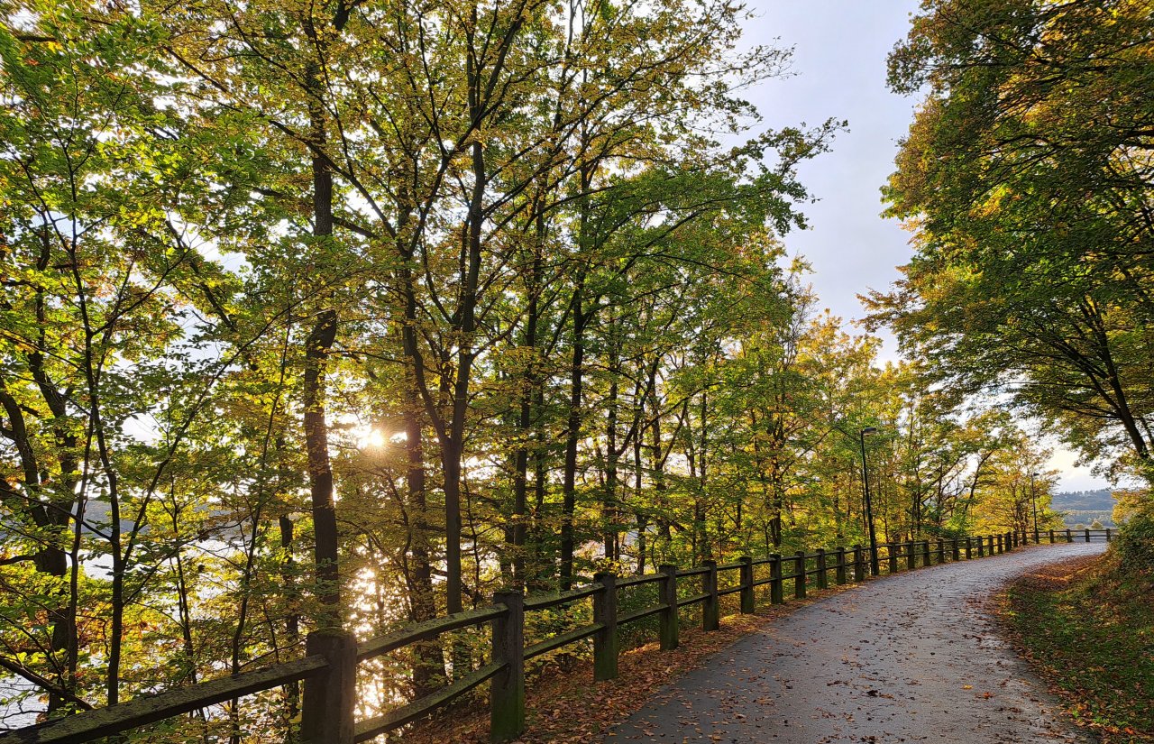 Herbst an der Bigge. von Jana Becker