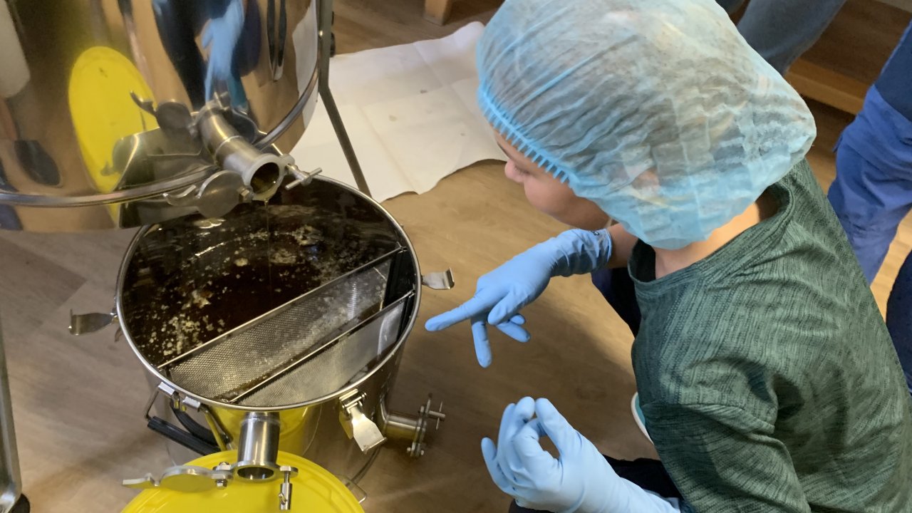 In der Bienen-AG lernen die Grundschüler alles rund um die Biene - und können jetzt stolz ihren ersten eigenen Schul-Honig präsentieren. von privat