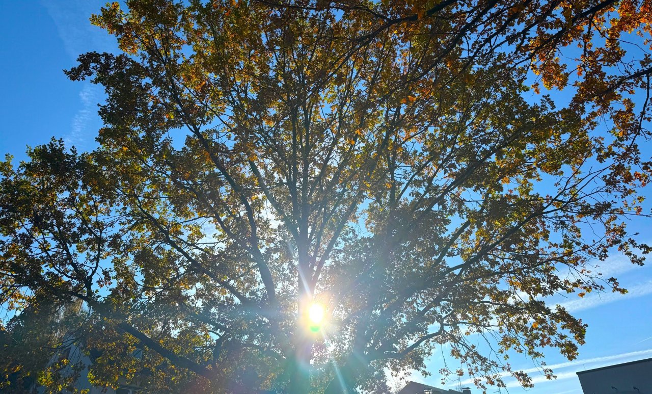 Bestes Spätsommerwetter versprechen die kommenden Tage. von Theresa Löhr