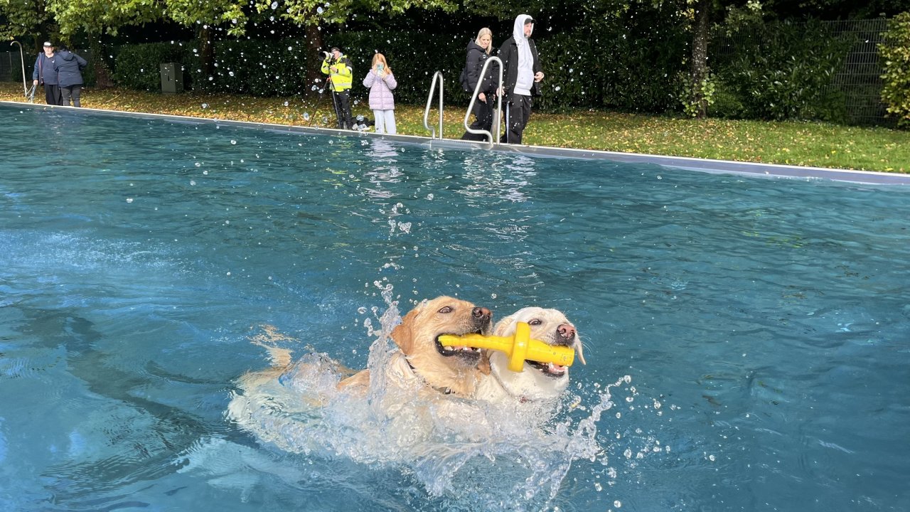 Impressionen vom Hundeschwimmen im Freibad Olpe am 4. Oktober 2025. von Leonie Diehl