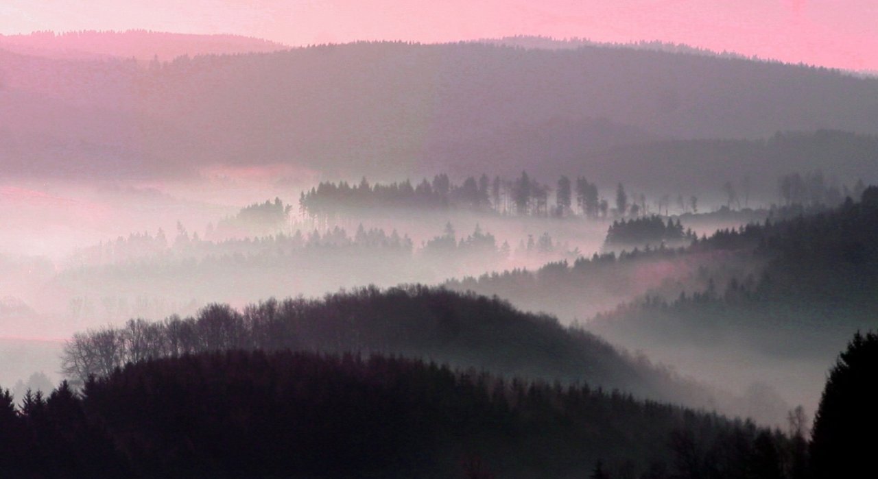 Sauerland im Nebel von privat