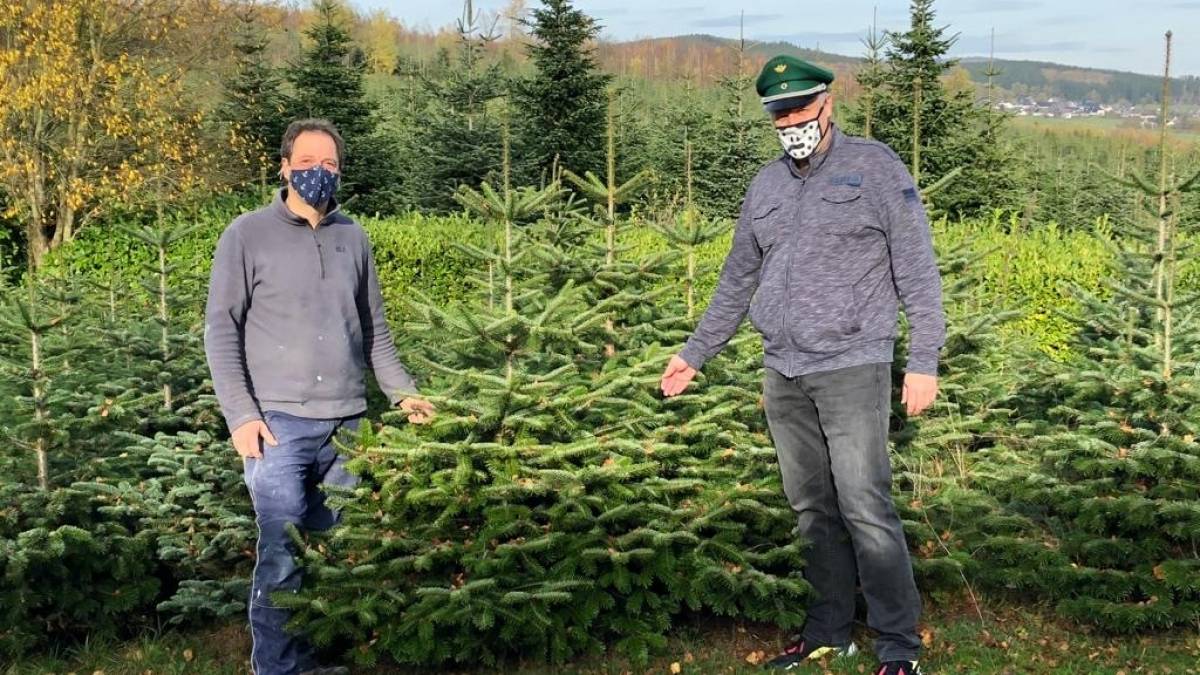 Bernd Stumpf (links) und Jens Rüsche sind gespannt, wer die Weihnachtsbäume gewinnt.  von privat