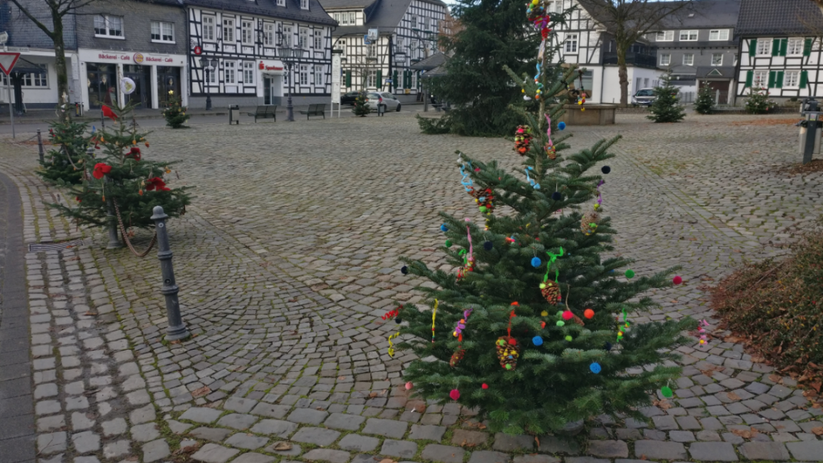 Weihnachtsbäume auf dem Marktplatz Drolshagen. von privat