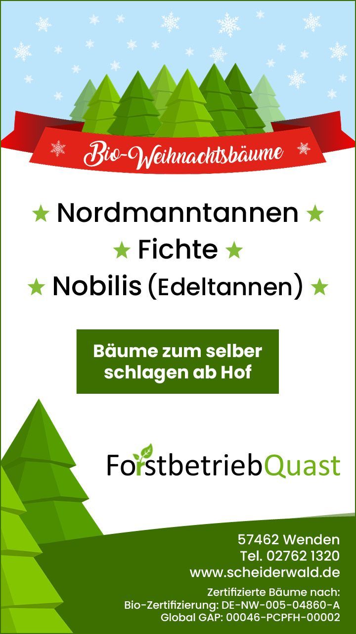 Die schönsten Weihnachtsbäume kauft man am besten vor Ort