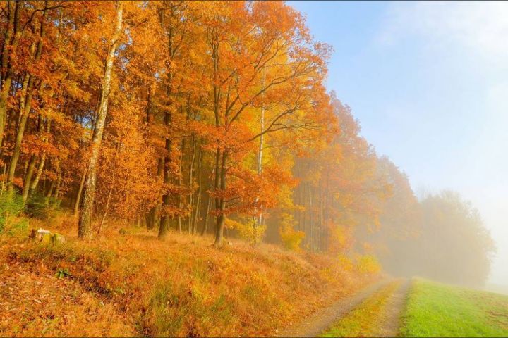 Leserfoto: Der Herbst zeigt sich von seiner schönsten Seite