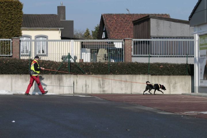 Hunde spüren GymSL-Schülerinnen auf alten Bundeswehrgelände auf