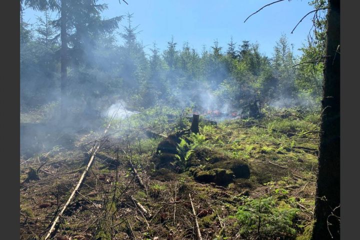 Feuerwehr löscht einen sich schnell ausbreitenden Waldbrand
