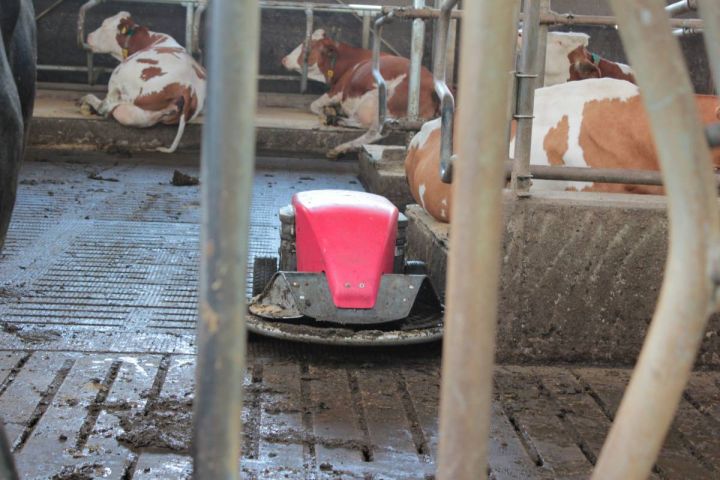 Milchbauern sind sauer: Wir zahlen bei jedem Liter drauf - Forderung nach Krisenmanagement