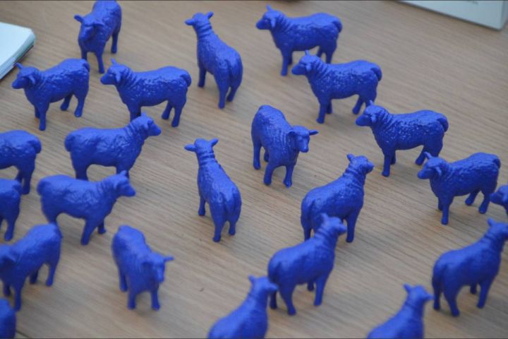 Friedensherde mit blauen Schafe hatte Weiderecht in Attendorn