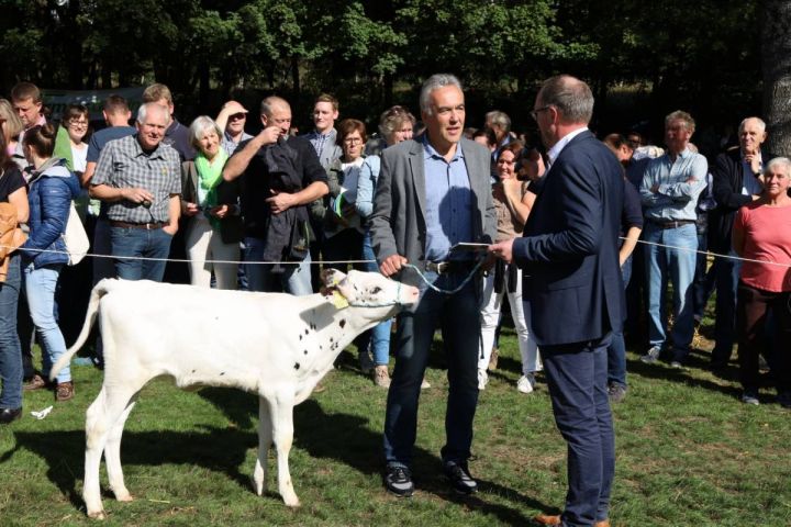 Bürgermeister präsentieren Kälber beim Ernte- und Tierschaufest