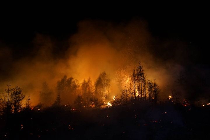 Update: Waldbrand in Rothemühle nach 15 Stunden gelöscht