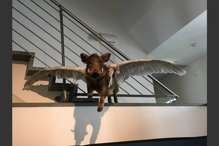 Yeti, Bigfoot und Wolpertinger im Südsauerlandmuseum