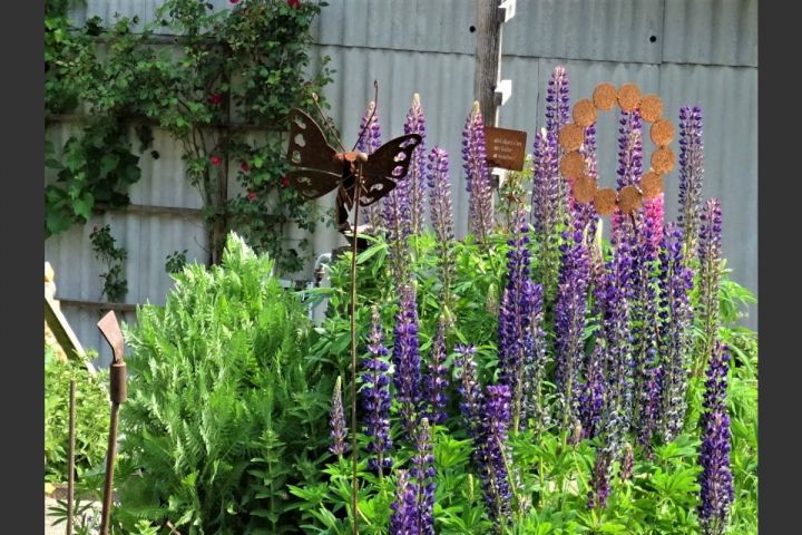 „Ich bin tiefenentspannt, wenn ich mich mit meinem Garten beschäftige“