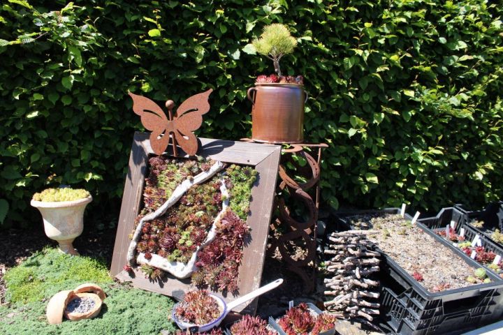 Mit viel Herzblut und Liebe eine Wohlfühloase geschaffen