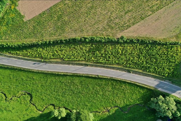 Forstbaumschulen Wilhelm Röttgers: Wald ist unser Anliegen