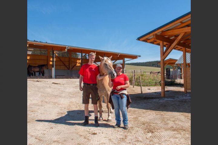 Neuer Bewegungsstall am Reiterhof Kruberg fördert das Wohl der Pferde