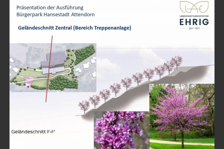 Bürgerpark Attendorn: Planungen weiter konkretisiert