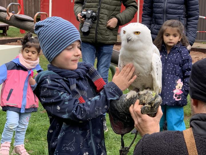 Der Falkner Marco Wahl war mit seinen Vögeln im Kindergarten Kirchhundem zu Besuch.