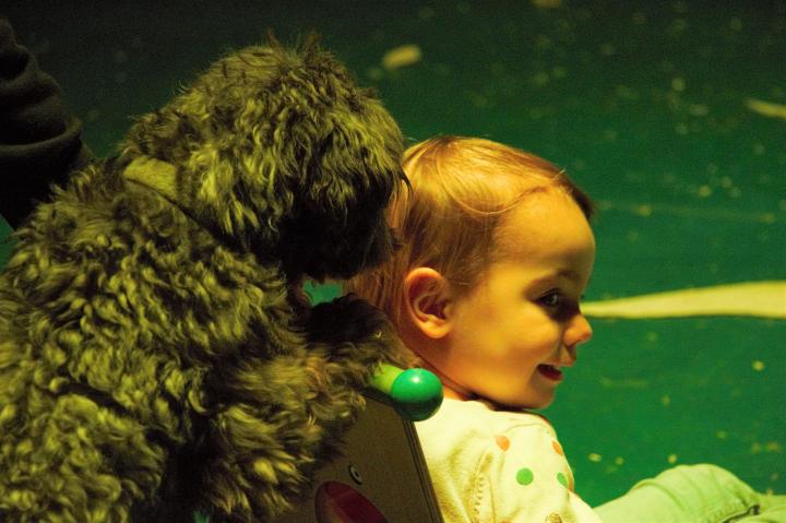 Eine eigene Mediengalerie für Artisten-Hund Lucky: Er sorgte bei den Kindern für lauten Jubel - auch wenn Luise (2) anfangs etwas skeptisch war, als Lucky sie im Puppenwagen durch die Manege schob.