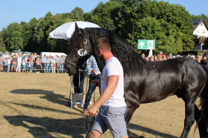 Die Tierschau lockte wieder zahlreiche Besucher auf die Wendener Kirmes.
