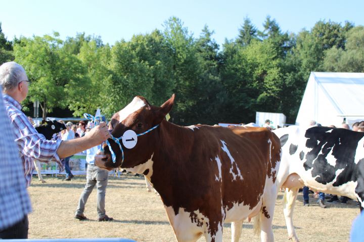 Die Tierschau lockte wieder zahlreiche Besucher auf die Wendener Kirmes.