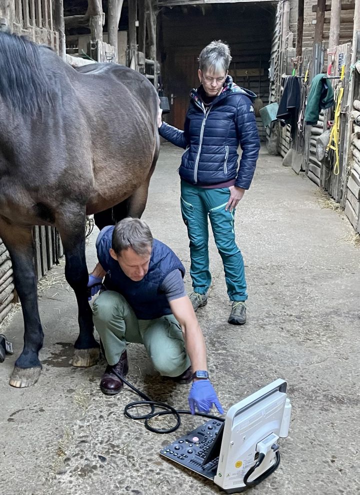 Dr. Peter Heer erklärt der Pferdebesitzerin das ausführlich das Ultraschall-Bild ihres Pferdes
