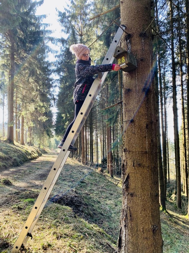 Umweltschutz mit Freude: Die Nistkästen der Arbeitsgruppe müssen jährlich kontrolliert und gepflegt werden.