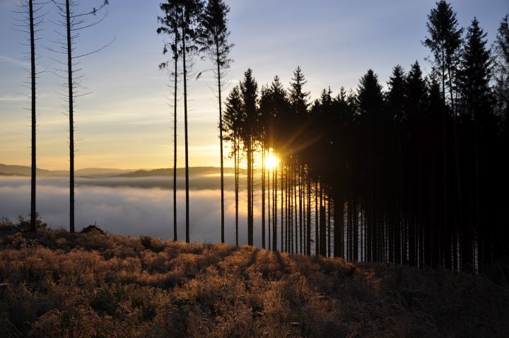 Platz 2: Reinhild Oberste